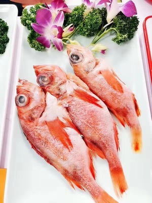 鲜活与冷冻之间 石斑鱼等海鲜批发与畜禽收购市场全解析