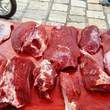 贵州安顺西秀区黄牛肉批发 鲜肉市场的新鲜力量