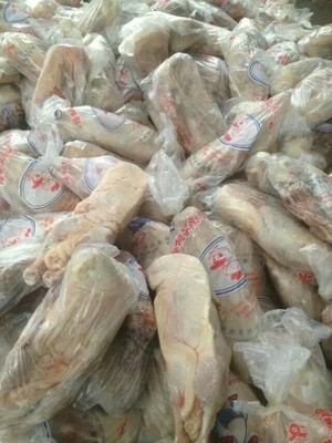 蒂诺高比例鲜肉粮 专精品质，信誉保障的宠物营养之选