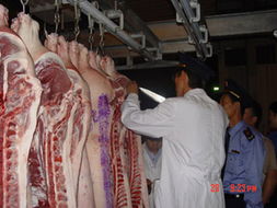 鲜肉进货价上涨背景下的市场批发零售价格稳定分析